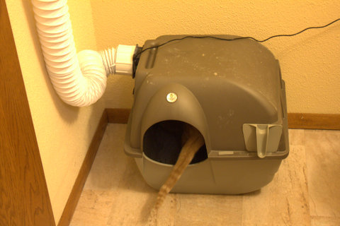 How to Build a Ventilated Litter Box